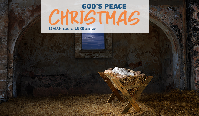 Read more about the article Christmas – God’s Peace