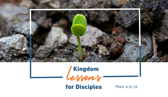Read more about the article Kingdom Lessons for Disciples