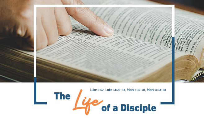Read more about the article The Life of a Disciple
