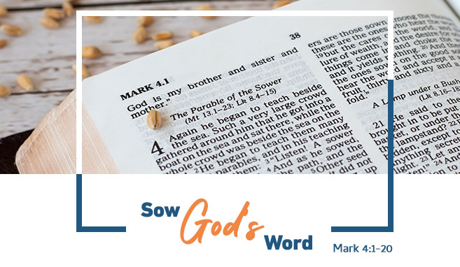 Read more about the article Mark 4:1-20 | Sow God’s Word