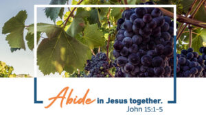 John 15:1-5 | Abide in Jesus Together