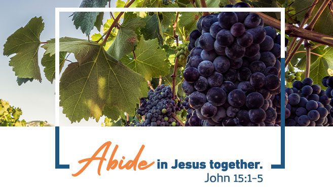 Read more about the article John 15:1-5 | Abide in Jesus Together
