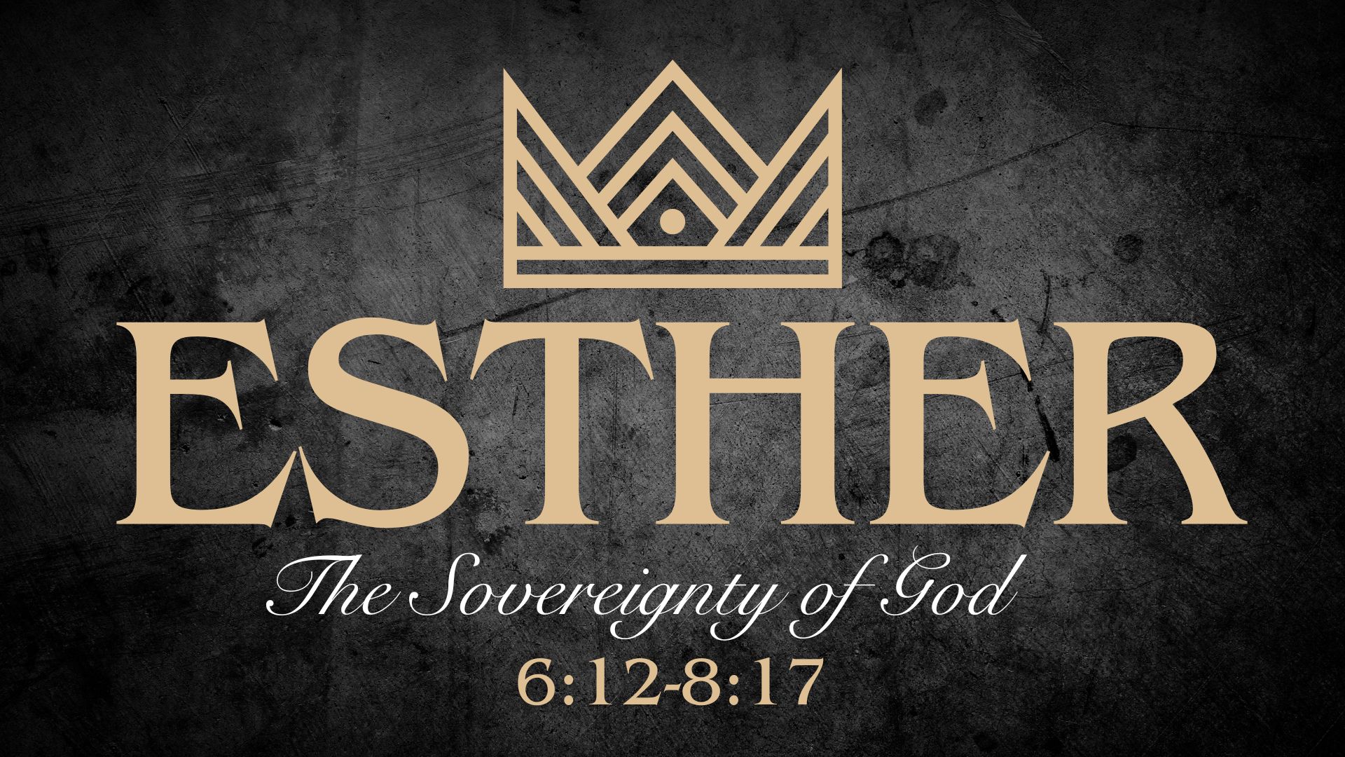 Read more about the article Esther 6:12-8:17 | Jayce Leeper